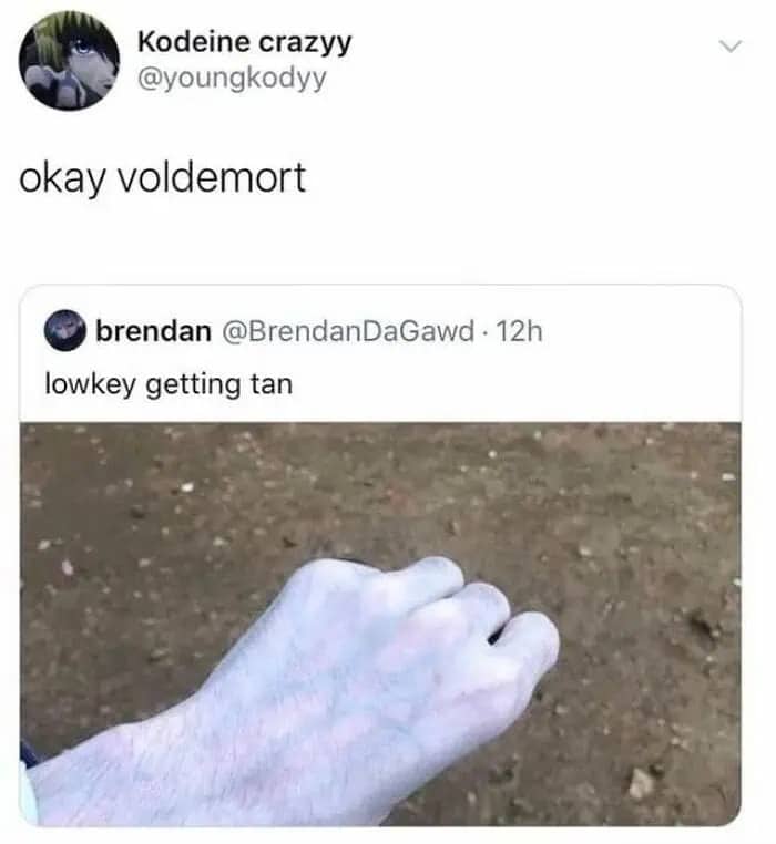 Social media post of an extremely pale hand with visible blue veins, jokingly compared to the character Voldemort.
