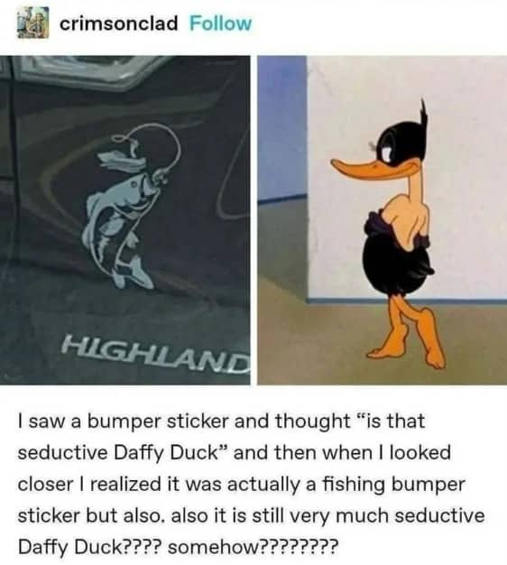 Comparison of a fishing bumper sticker and a seductive Daffy Duck cartoon character looking very similar.