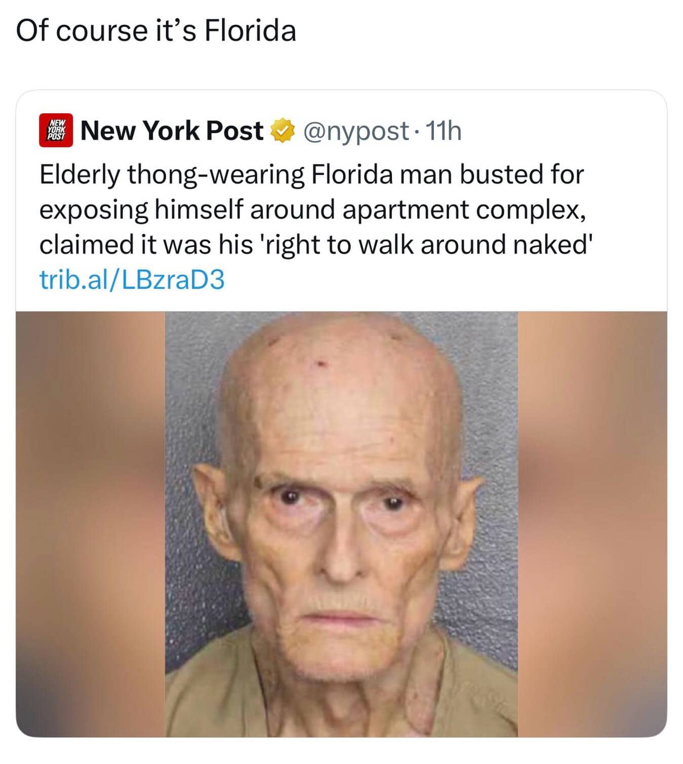 News headline meme about a thong-wearing Florida man arrested for exposing himself at an apartment.