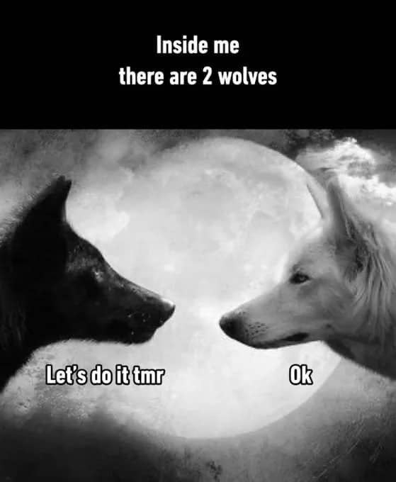 Two wolves meme where both agree to procrastinate a task until tomorrow under a full moon.