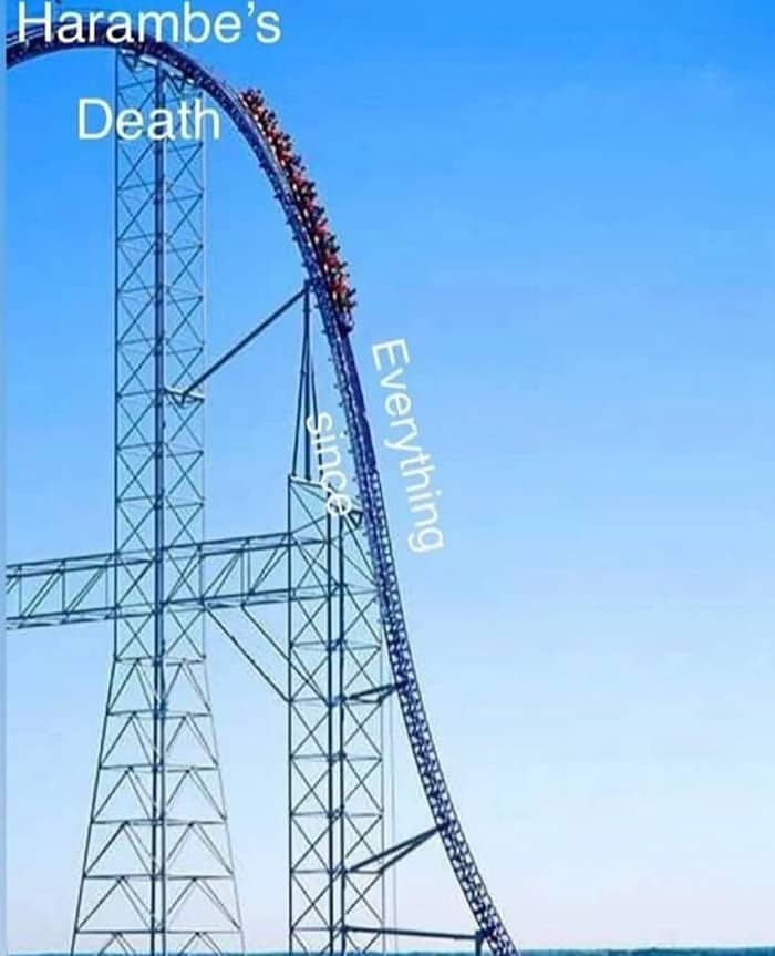 A roller coaster meme demonstrating a massive drop labeled as the downward spiral since Harambe's passing.