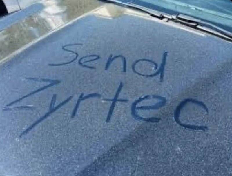 A car hood covered entirely in a thick layer of yellow tree pollen with send Zyrtec written in it.