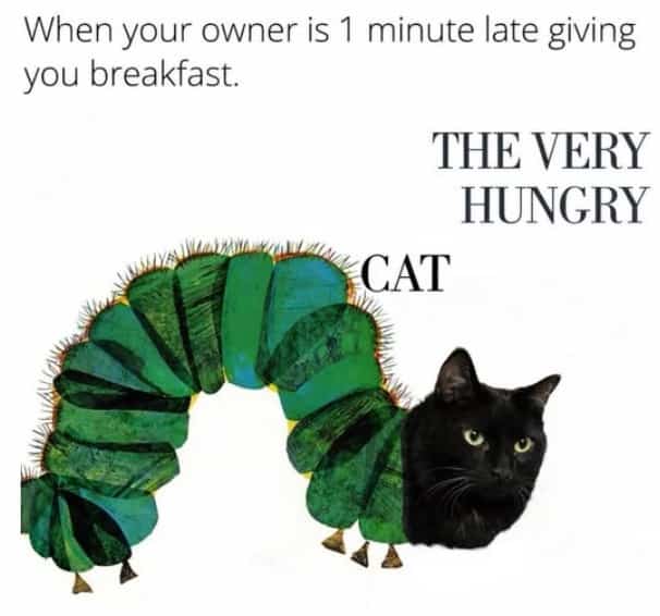 The Very Hungry Caterpillar parody featuring a black cat head on a green caterpillar body.