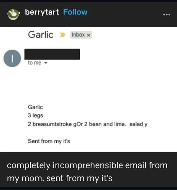 Funny screenshot of a completely nonsensical email from a mother titled "Garlic" sent from her "it's."