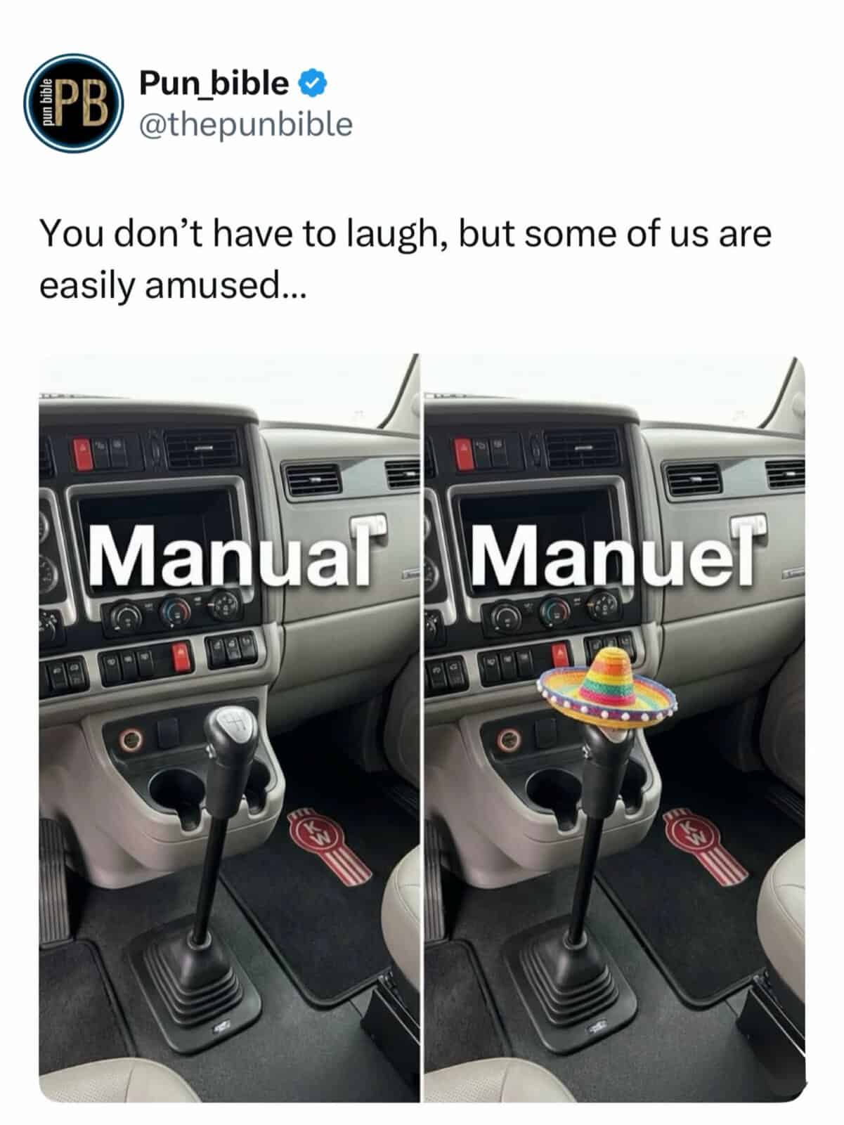 A comparison punny meme showing a standard car gear stick labeled "Manual" next to one wearing a tiny sombrero labeled "Manuel."