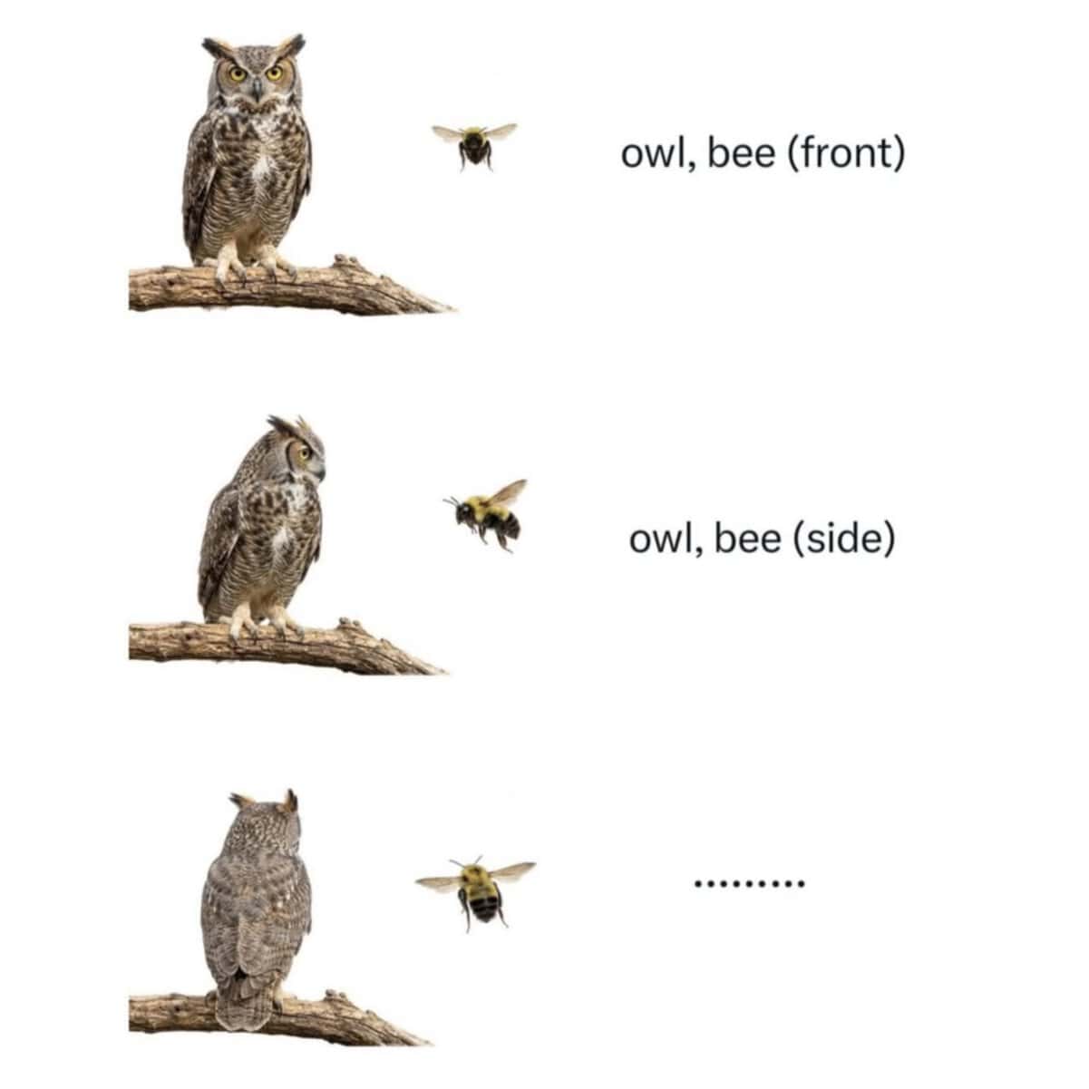 clever visual punny meme showing an owl and a bee from the front and side; the third panel shows their backs, phonetically spelling out "I'll be back."