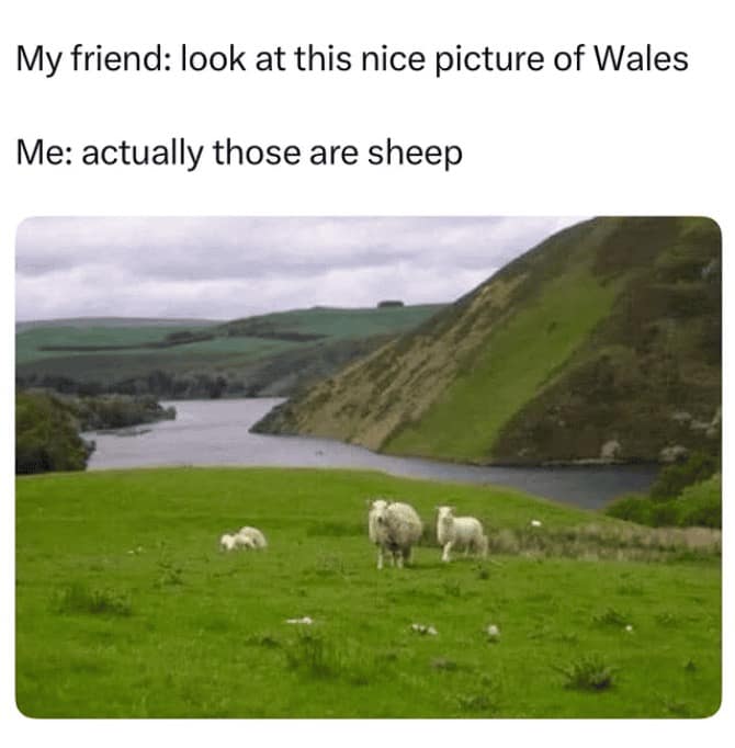 funny pun visual showing sheep on a green hillside in the United Kingdom, where a friend shares a picture of "Wales" and the narrator corrects them by stating those are clearly sheep.