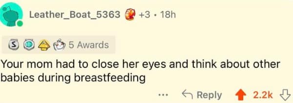 screenshot of a Reddit comment with multiple awards that serves as a brutal funny roast, claiming the recipient's mother had to imagine other babies just to get through breastfeeding them.