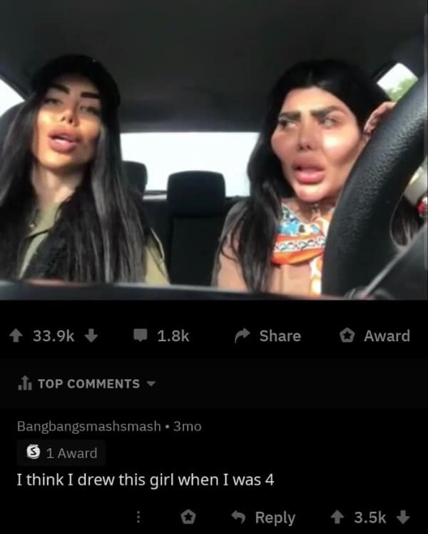 A screenshot of two women in a car with heavy facial fillers and cosmetic enhancements. A Reddit comment delivers a funny roast by claiming they look like a drawing the user made when they were 4 years old.