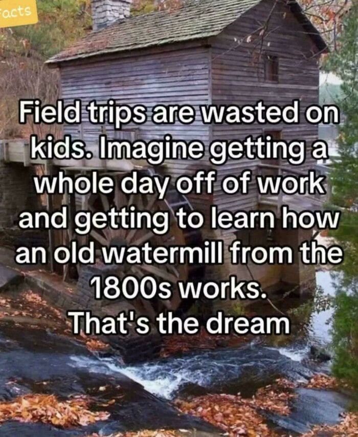 Image of an old wooden watermill with text describing adult field trips as the dream.