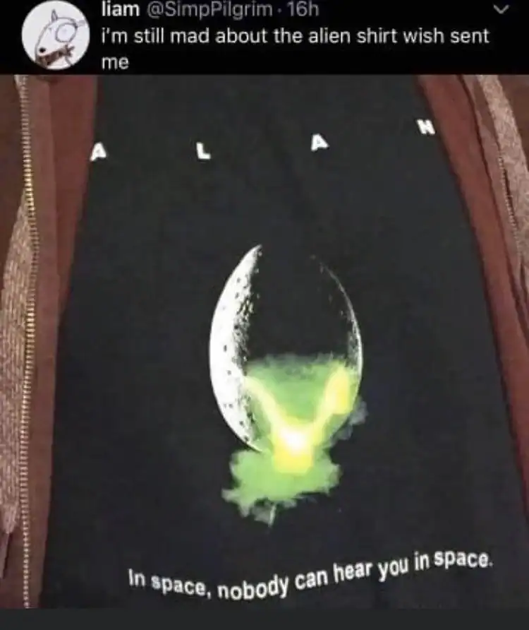 A knockoff movie t-shirt that accidentally spells the famous sci-fi title Alien as Alan.