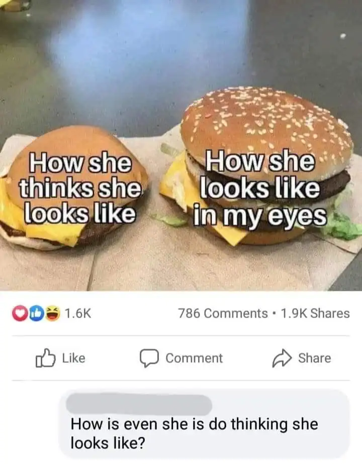 A burger comparison meme with a Facebook comment that reads like total absolute gibberish.