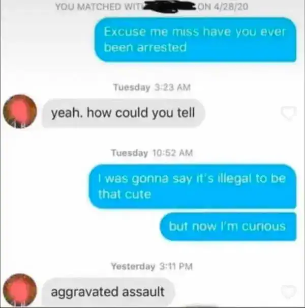 A legendary Tinder funny text exchange where a user asks if their match has ever been arrested to set up a "cute" pick-up line, only for the match to drop the hammer with the deadpan response: "aggravated assault."
