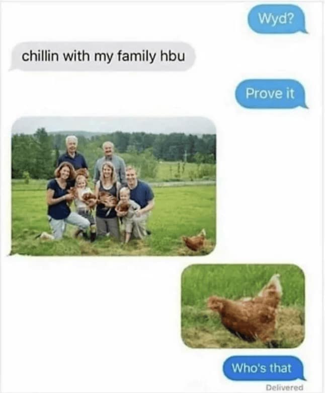 A hilarious funny text thread where someone proves they are "chillin with family" by sending a photo of a group of chickens, only to have the recipient zoom in on one specific bird and ask, "Who's that?"