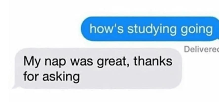 relatable funny text response to "how's studying going," where the student provides the only honest answer possible: "My nap was great, thanks for asking."
