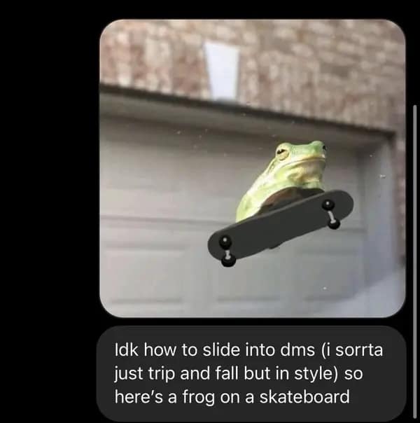 funny text message featuring a creative "DM slide" using a photo of a green tree frog on a skateboard, captioned with the admission that they "trip and fall but in style."