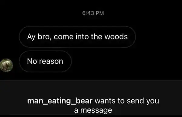 funny text from a contact explicitly named "man_eating_bear" with a grizzly bear profile picture, casually inviting the user into the woods for "no reason."