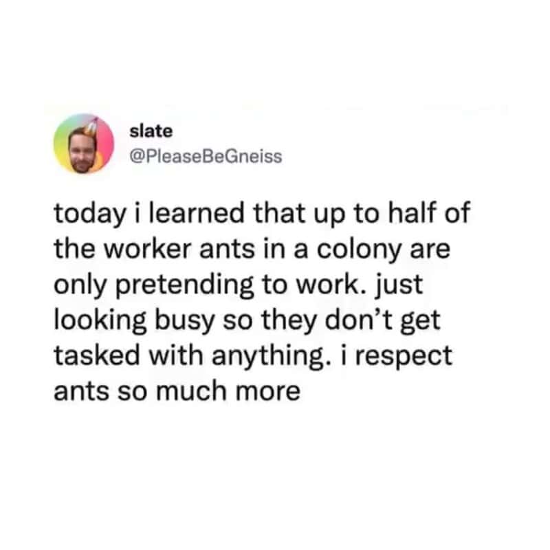 An insightful funny work tweet by slate sharing the scientific fact that up to half of worker ants just pretend to be busy, concluding that ants deserve more respect for their corporate survival skills.