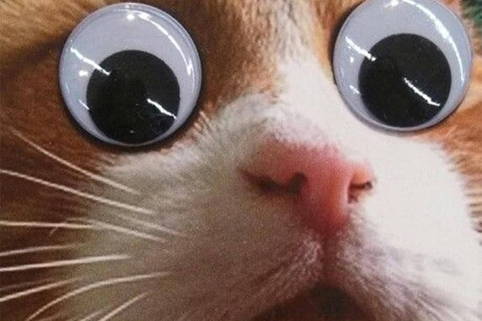 A visual funny shower thoughts gallery collecting the internet's most viral philosophical realizations, highlighted by an adorable golden retriever puppy chewing on a running shoe, René Magritte's surrealist backward mirror reflection painting, and a stressed kid with an internet loading wheel graphic on his forehead.