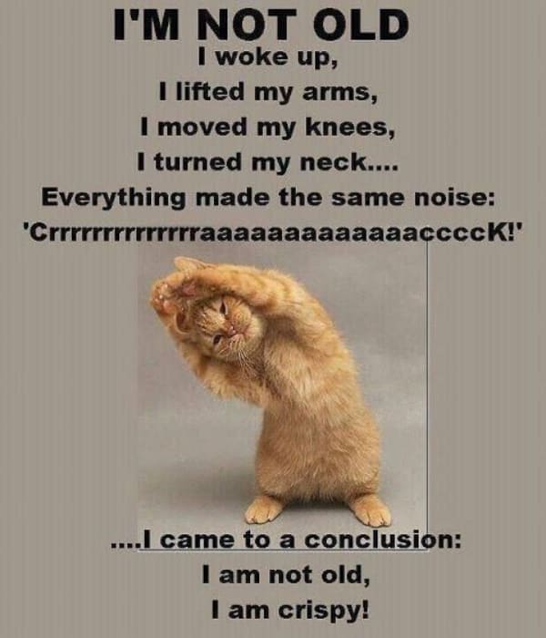 Humor meme featuring an orange cat stretching with text about bones making cracking noises.