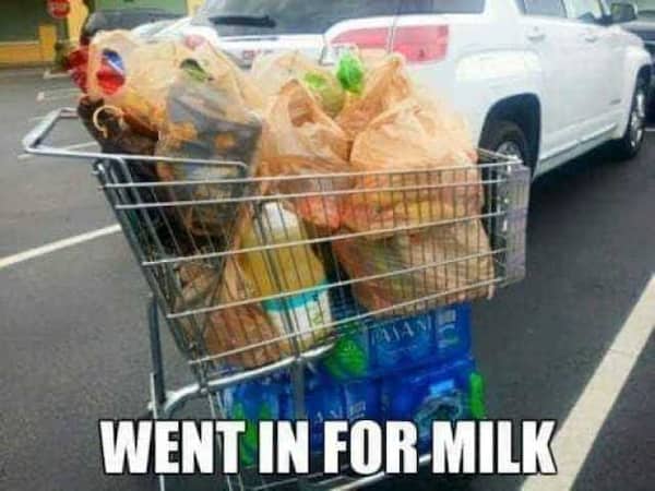 A shopping cart overflowing with plastic bags and cases of water, labeled went in for milk.