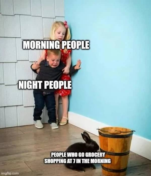 A meme format showing children terrified of a harmless bunny rabbit, labeled with shopping times.