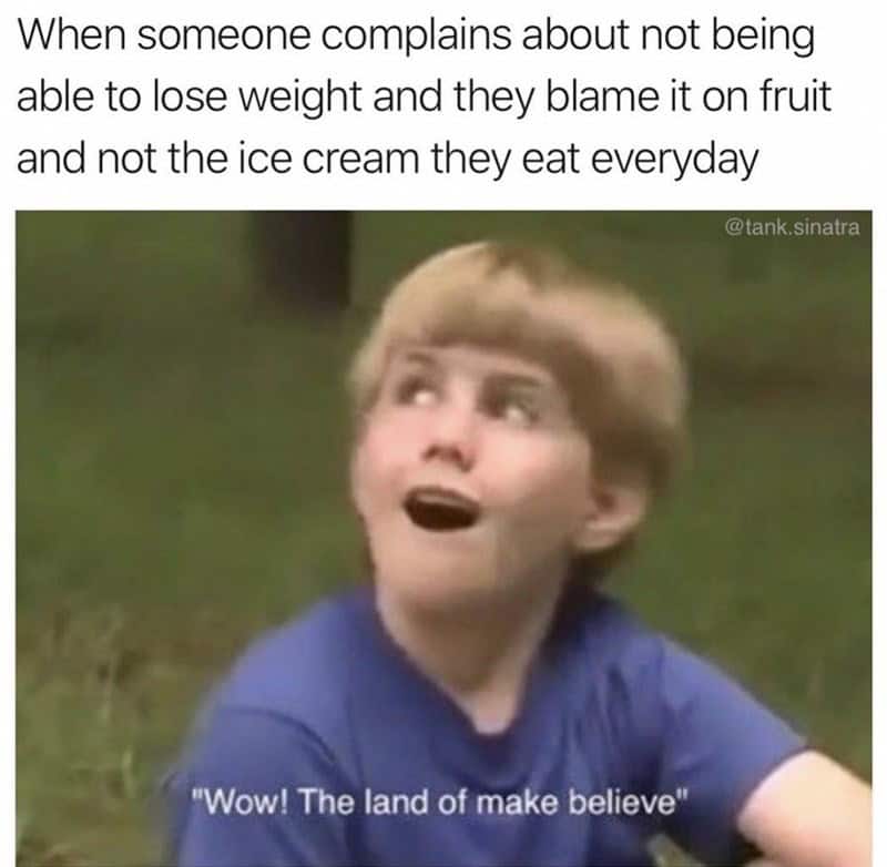 An amazed-looking boy with the subtitle "Wow! The land of make believe" used as an ice cream meme to mock people who blame weight gain on fruit instead of their daily sundae habit.