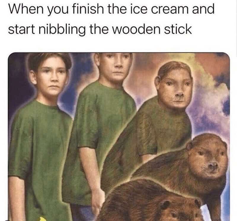 An Animorphs-style ice cream meme showing a boy slowly transforming into a beaver after he finishes his popsicle and starts chewing on the wooden stick.