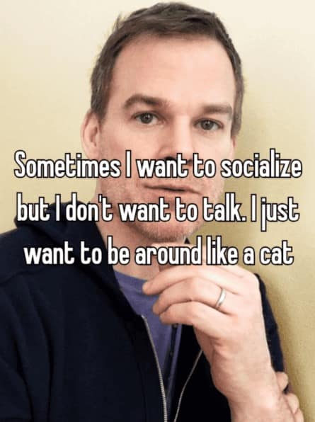 An introvert meme featuring actor Michael C. Hall looking thoughtfully at the camera. The text overlay reads: "Sometimes I want to socialize but I don't want to talk. I just want to be around like a cat," identifying the "presence without pressure" preference.