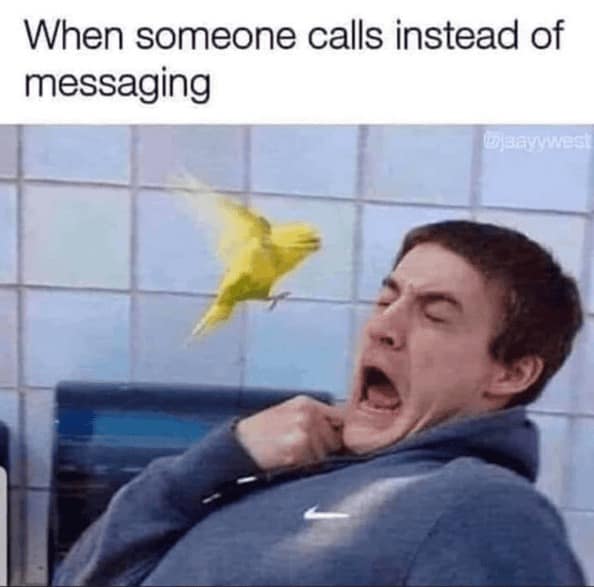 An introvert meme showing a man in a blue hoodie reacting with pure, unfiltered terror as a small yellow bird flies directly toward his open mouth. The caption reads: "When someone calls instead of messaging," equating an unexpected phone call to a physical jump-scare.