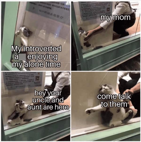 A four-panel introvert meme using a cat in a glass enclosure. The cat is shown enjoying its alone time until "Mom" arrives to physically drag it out because "your uncle and aunt are here," perfectly illustrating the pain of forced family socialization.
