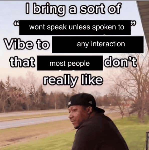 A heavily edited introvert meme featuring a man standing outdoors against a sunset. Black bars redact most of the original text to say: "I bring a sort of 'wont speak unless spoken to' Vibe to any interaction that most people don't really like."