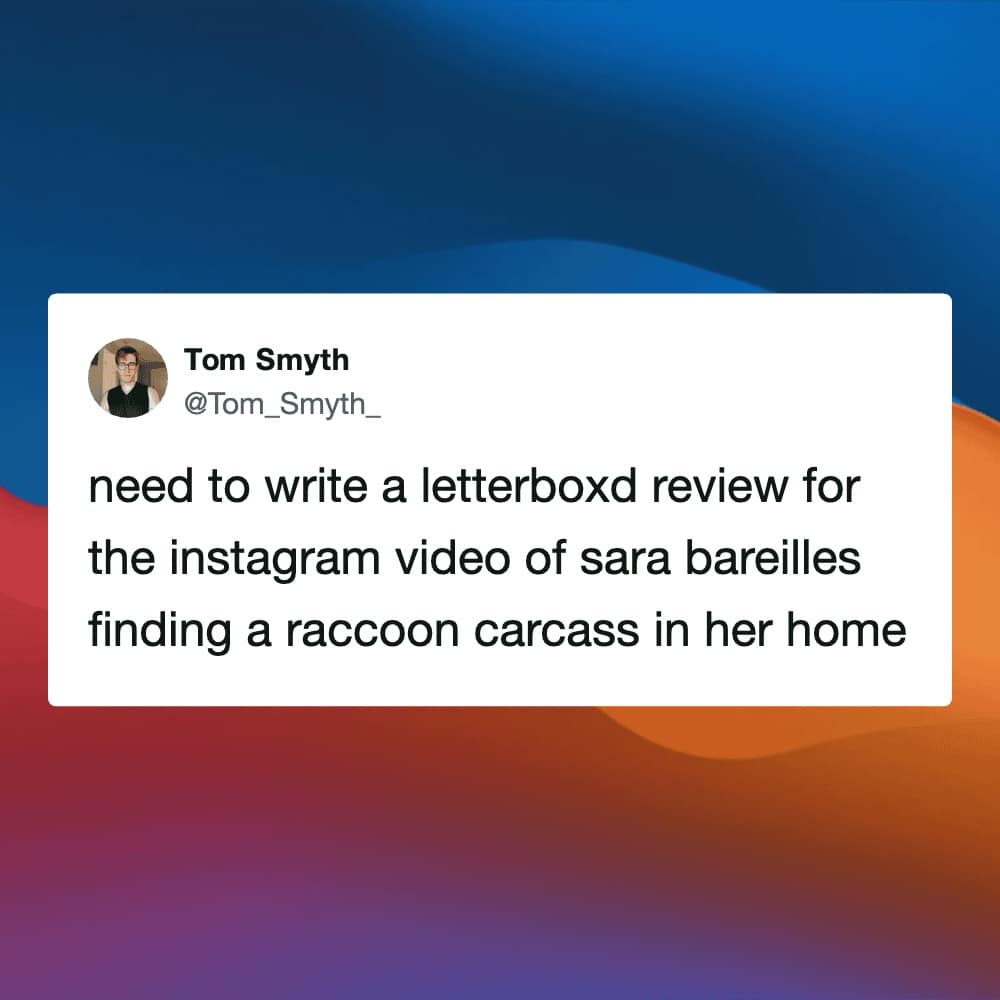 A funny Letterboxd meme tweet expressing a desperate need to write a formal review for a viral Instagram video of Sara Bareilles finding a raccoon.