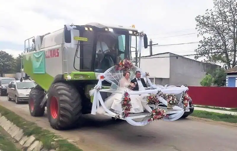 A funny Russia picture of a high-society wedding where the bride and groom are sitting on a platform attached to the front of a massive "CLAAS" combine harvester decorated with white lace and flowers.