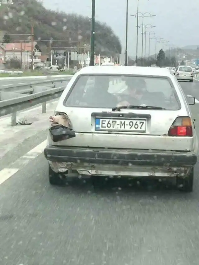 A meanwhile in Russia highway shot of a beat-up silver car where a live pig's head is protruding from the hole where the left taillight should be.