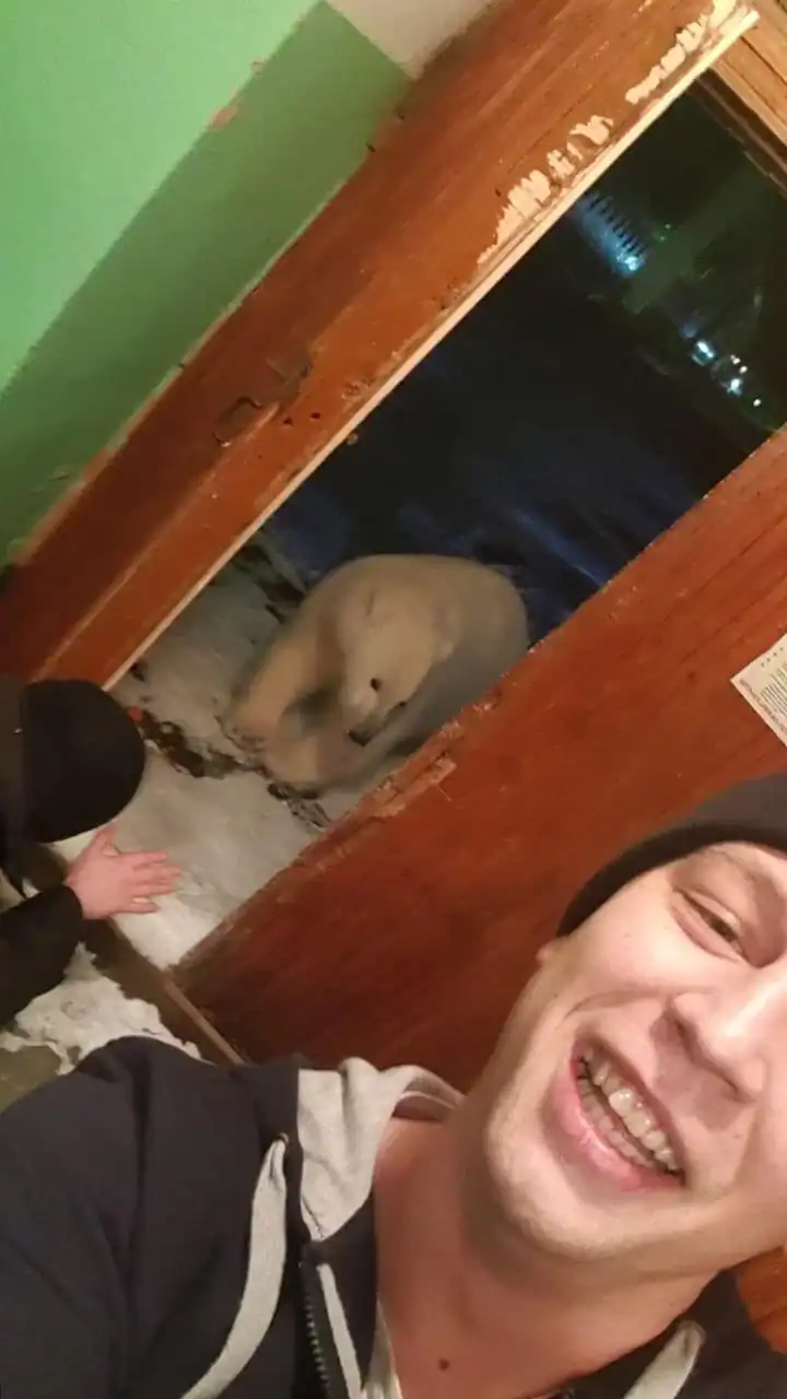 meanwhile in Russia selfie where a man smiles broadly for the camera while a wild polar bear walks through a doorway just a few feet behind him.