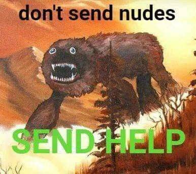 Bizarre furry monster painting with bulging eyes captioned "don't send nudes, send help."