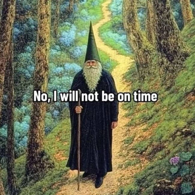 Majestic wizard with a long beard and tall hat walking down a forest path.