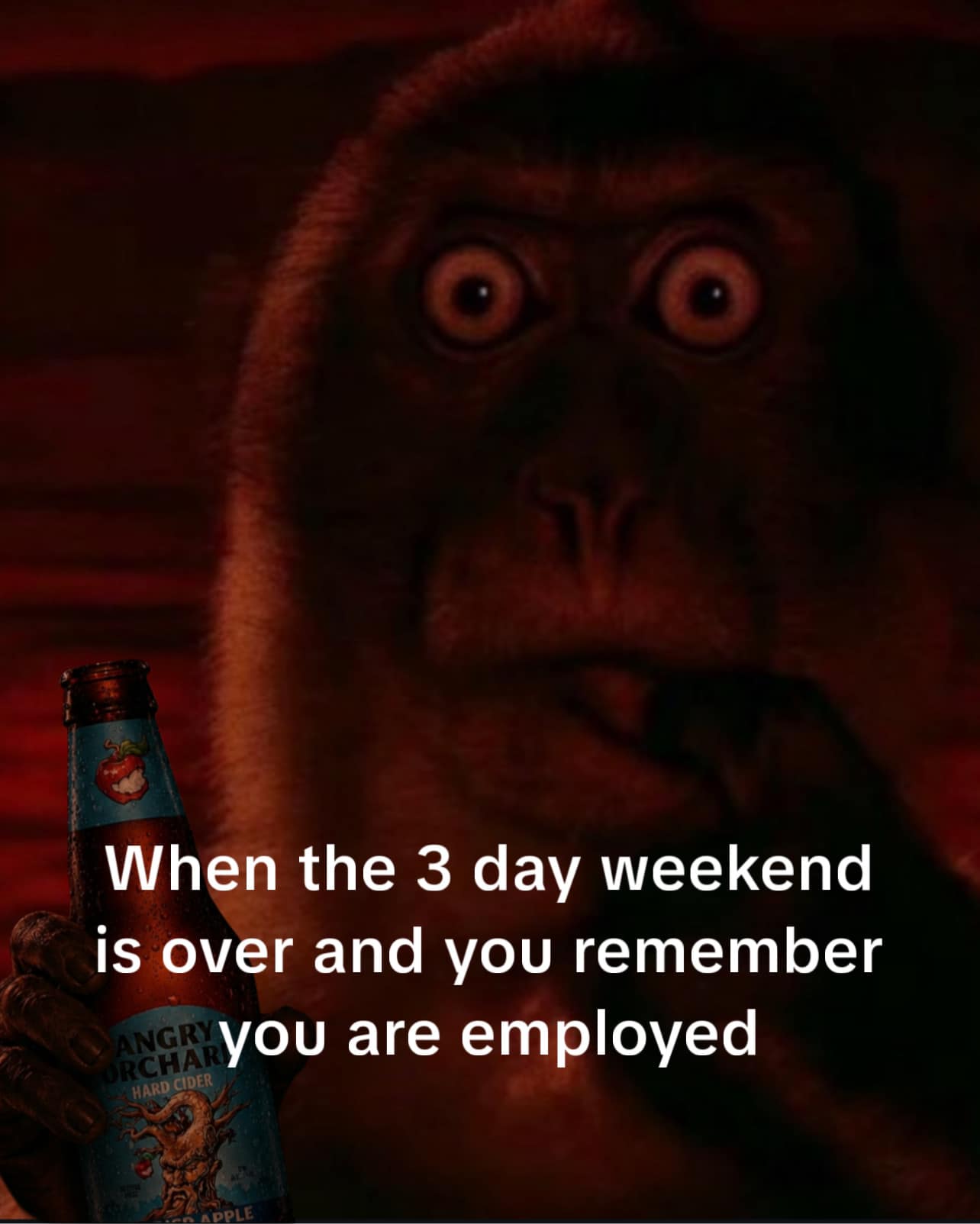 A panicked, wide-eyed monkey illuminated by an ominous dark red light grips a bottle of Angry Orchard hard cider, serving as a highly relatable entry in this meme dump about the horrific moment a three-day weekend ends and you remember you are employed.