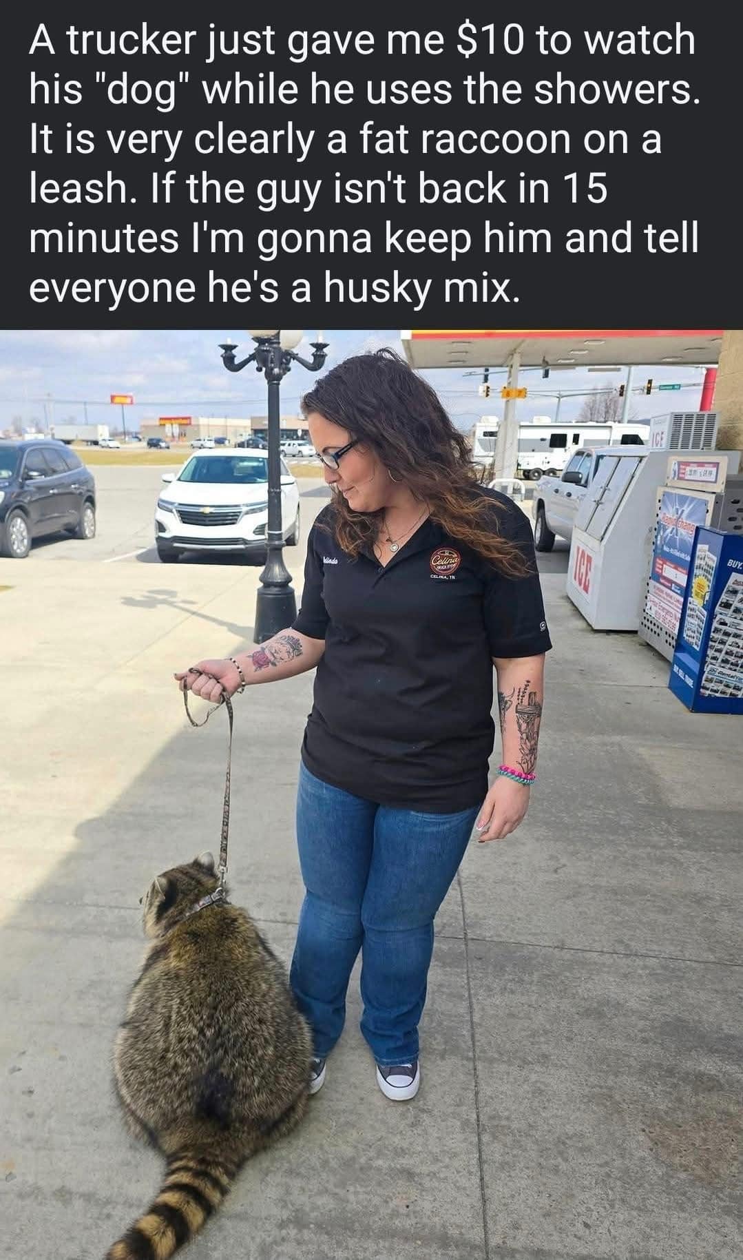 A viral hilarious meme from a meme dump showing a woman holding a leash attached to a massive, rotund raccoon at a truck stop, with text claiming a trucker paid her $10 to watch his "dog" while he showered.