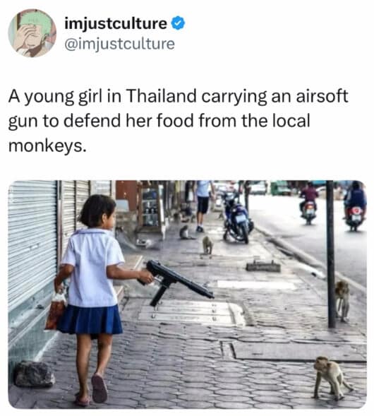 A social media post from the account imjustculture features a young schoolgirl in Thailand confidently patrolling a brick sidewalk with a massive toy airsoft submachine gun to defend her groceries from feral street monkeys.