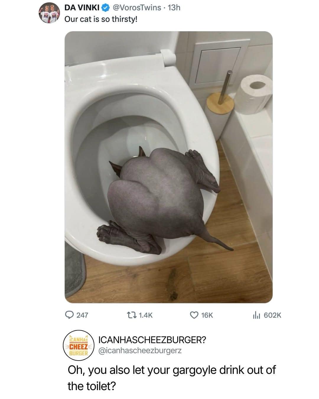 A funny Twitter screenshot in a meme dump shows a muscular, hairless Sphynx cat drinking from a toilet bowl, which a commenter notes looks exactly like a gothic stone gargoyle crouching on a roof.