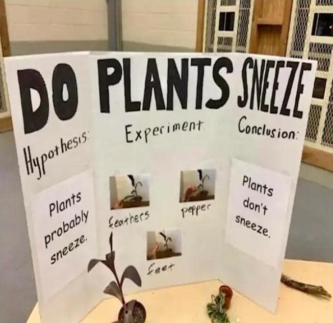 A childhood science fair tri-fold presentation board titled "DO PLANTS SNEEZE" meticulously documents an empirical botanical experiment testing pepper and feathers, rounding out a memorable addition to this meme dump.