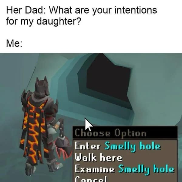 A gaming-themed meme dump entry using a RuneScape screenshot where a character stands before a cave entrance with the menu option "Enter Smelly hole" highlighted.