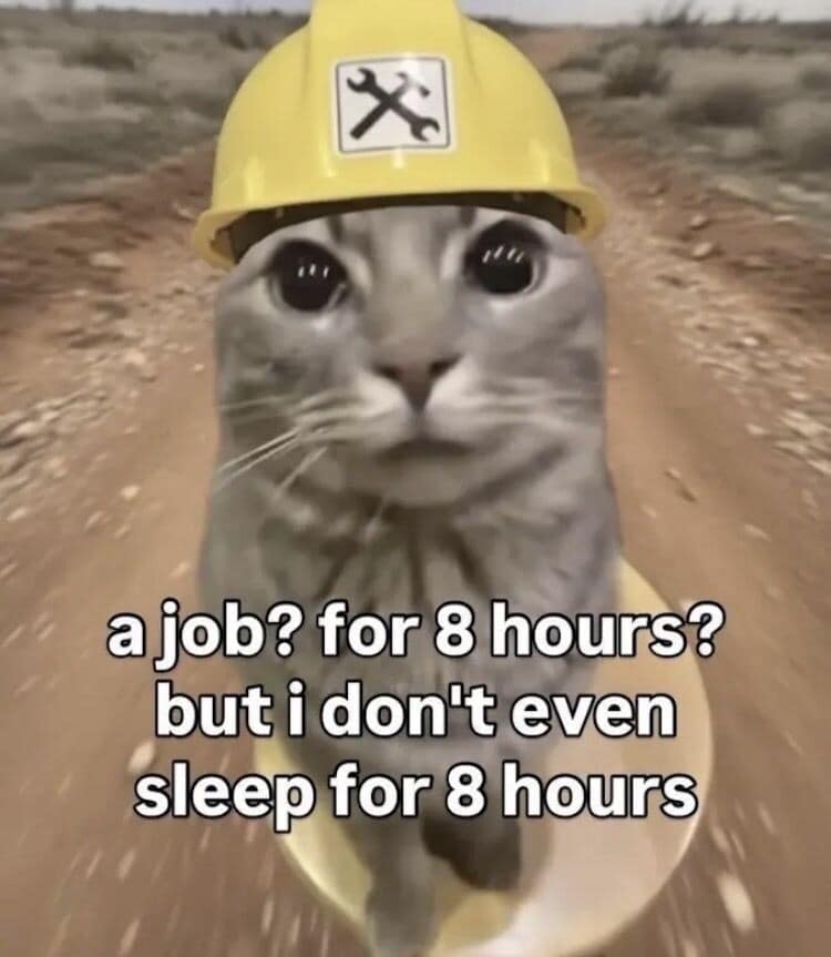 A cute gray tabby cat wearing a miniature bright yellow construction hard hat serves as the visual background for a relatable funny meme questioning the logic of working an eight-hour shift.