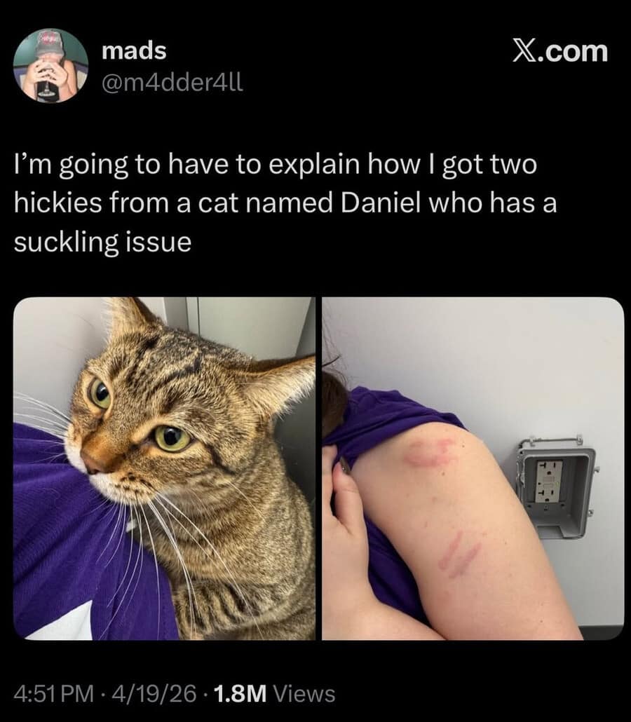 A two-panel funny meme showing a tabby cat named Daniel and the literal bruised "hickies" he left on his owner’s shoulder due to a persistent suckling issue.