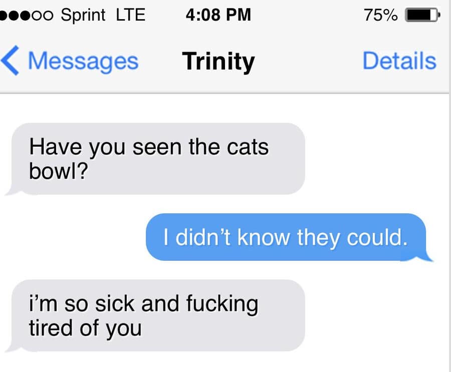 classic text message funny meme where "Trinity" asks if the sender has seen the "cats bowl," leading to a pun about cats being proficient at bowling, which earns the response "i'm so sick and fucking tired of you."