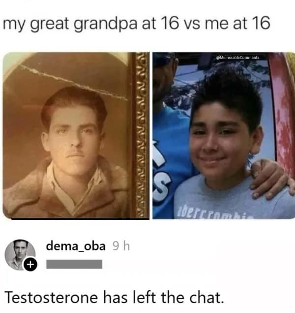 Historical portrait aesthetics are compared to modern teenage snapshots in a multi-panel meme dump graphic showing a rugged 16-year-old great-grandfather from the early 20th century contrasted against a contemporary youth wearing an Abercrombie shirt.