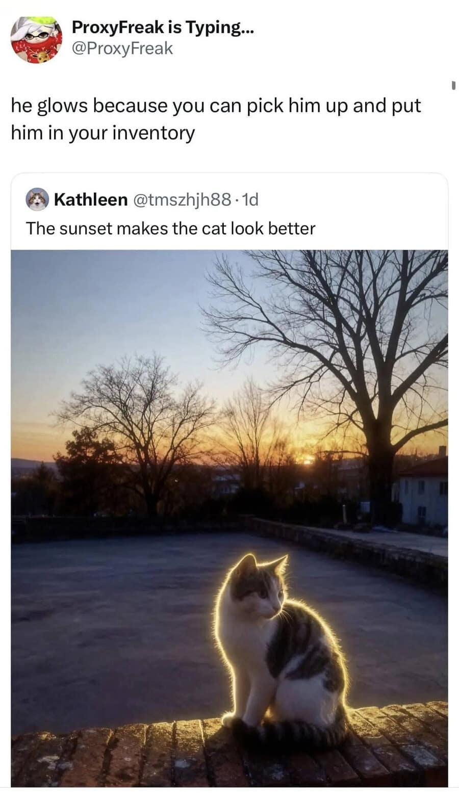 A stunning sunset photo capturing a domestic cat perfectly backlit with a glowing golden halo of light goes viral when a user compares the visual effect to a glowing interactive quest item ready for a video game inventory slot.