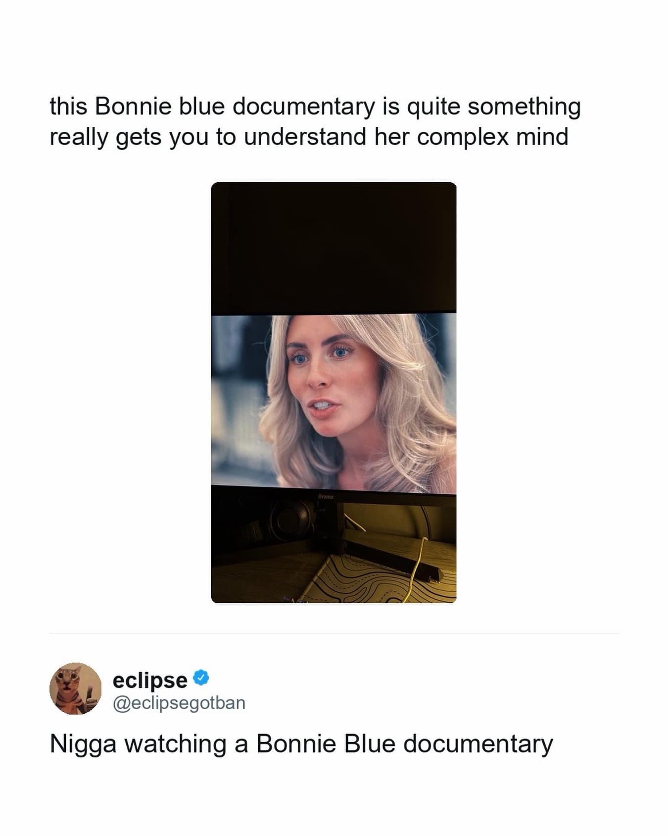 A screenshot of a computer monitor displaying an adult star provides a funny contribution to this meme dump, mocking a user attempting to deeply intellectualize a webcam stream under a blunt callout reply by user eclipse.